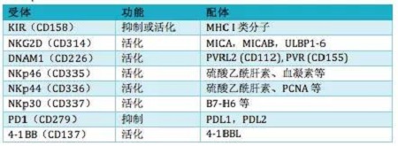 免疫细胞存储