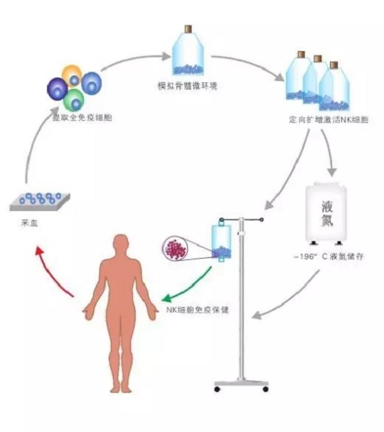 免疫细胞存储